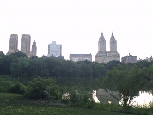 Central Park Writing Inspiration